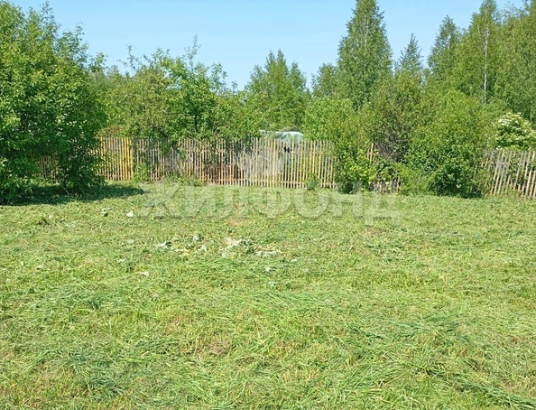 
  Продается земельный участок, 5.3 соток, село Барышево
. Фото 8.