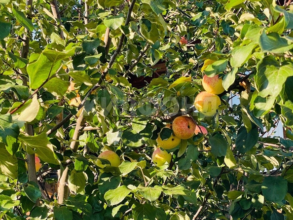 
  Продается дом, 150 м², Новосибирск
. Фото 34.