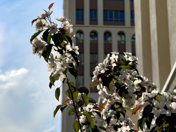 
  Продается 2-комн. квартира, 38.2 м², ЖК Balance (Баланс), 3 очередь
. Фото 13.