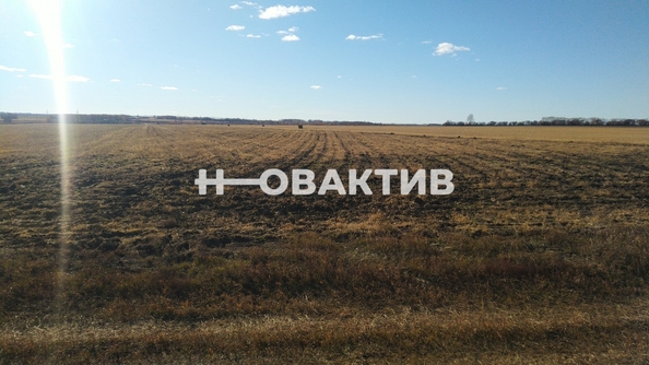 
  Продается земельный участок, 970 соток, село Новопичугово
. Фото 2.