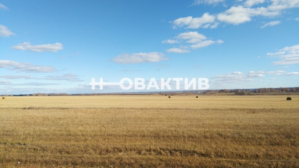 
  Продается земельный участок, 970 соток, село Новопичугово
. Фото 14.