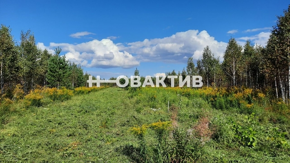 
  Продается земельный участок, 50 соток, поселок Барлакский
. Фото 5.