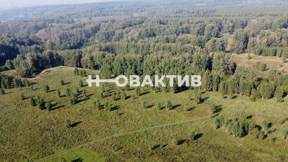 
  Продается земельный участок, 1700 соток, СНТ Луговое
. Фото 9.