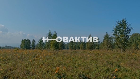 
  Продается земельный участок, 1700 соток, СНТ Луговое
. Фото 11.