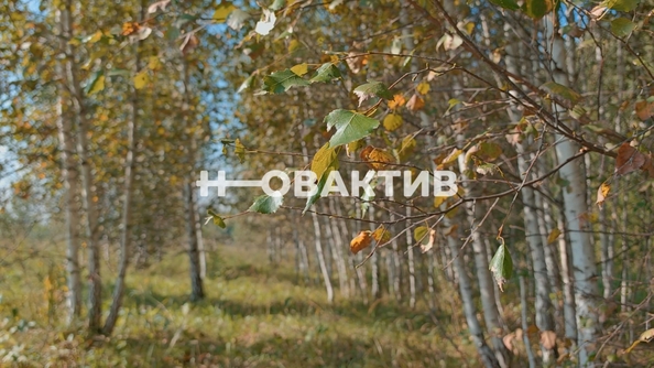 
  Продается земельный участок, 1700 соток, СНТ Луговое
. Фото 14.