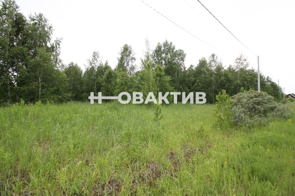 
  Продается земельный участок, 11.08 соток, посёлок Новониколаевский
. Фото 10.