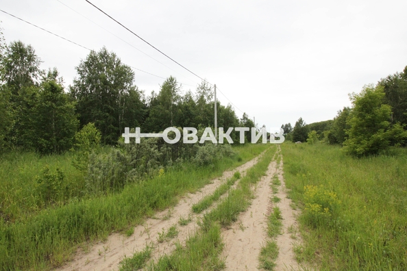 
  Продается земельный участок, 11.08 соток, посёлок Новониколаевский
. Фото 11.