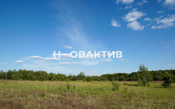 
  Продается земельный участок, 13740 соток, деревня Ксеньевка
. Фото 1.