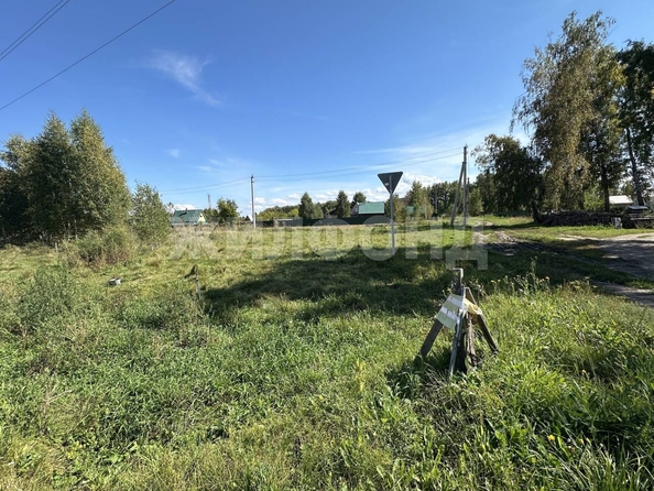 
  Продается земельный участок, 16.15 соток, село Боровое
. Фото 2.