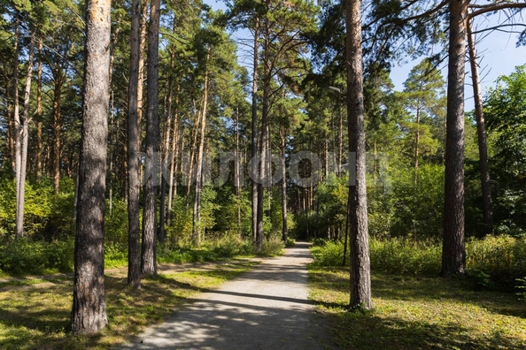 
  Продается дом, 80 м², Новосибирск
. Фото 39.