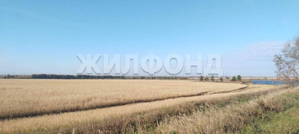 
  Продается земельный участок, 10 соток, рабочий поселок Колывань
. Фото 3.