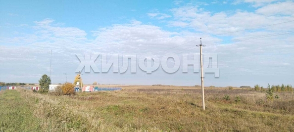 
  Продается земельный участок, 10 соток, рабочий поселок Колывань
. Фото 3.