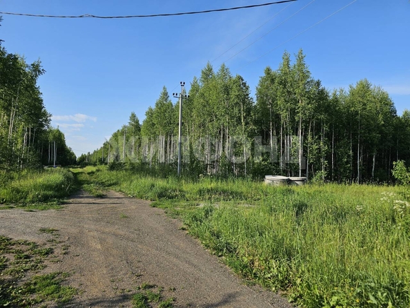 
  Продается земельный участок, 12.52 соток, коттеджный поселок НеДача
. Фото 4.