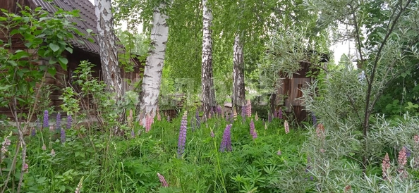 
  Продается дача, 25 м², СНТ Мелиоратор
. Фото 5.