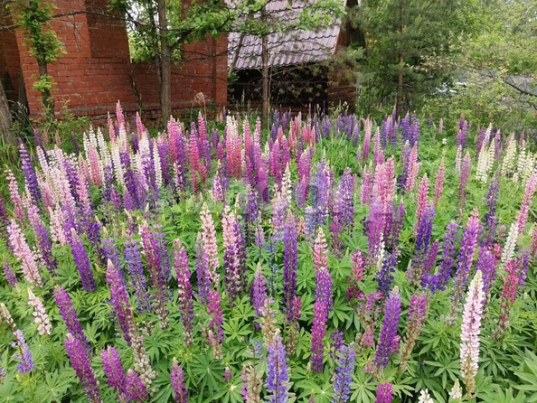 
  Продается дача, 25 м², СНТ Мелиоратор
. Фото 8.