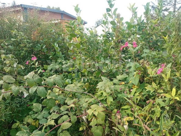 
  Продается дача, 28 м², СНТ Инской узел (Первомайский р-н)
. Фото 6.