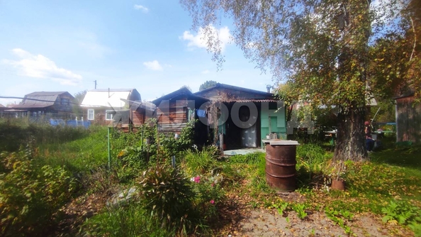 
  Продается дача, 45 м², СНТ Ручеёк
. Фото 3.