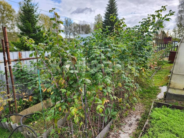 
  Продается дача, 45 м², СНТ Ромашка
. Фото 15.