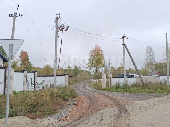 
  Продается земельный участок, 10 соток, СНТ Облепиха (Станционный сельсовет)
. Фото 3.