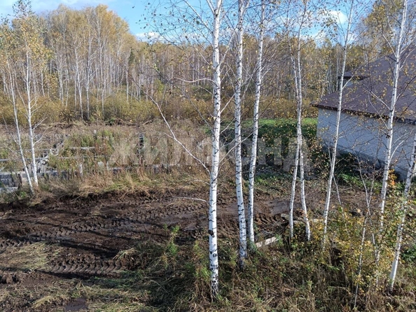 
  Продается земельный участок, 10 соток, СНТ Облепиха (Станционный сельсовет)
. Фото 6.