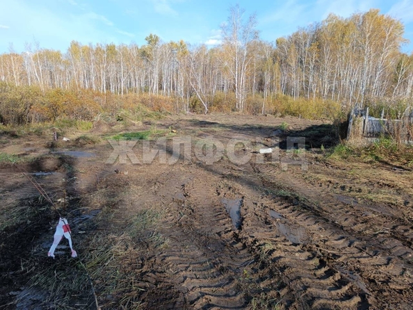 
  Продается земельный участок, 10 соток, СНТ Облепиха (Станционный сельсовет)
. Фото 9.
