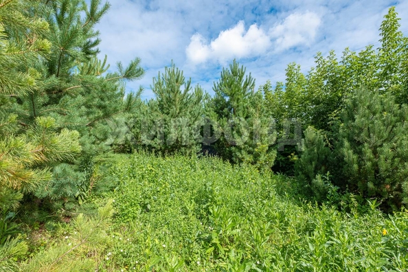 
  Продается дом, 20.1 м², Новосибирск
. Фото 9.