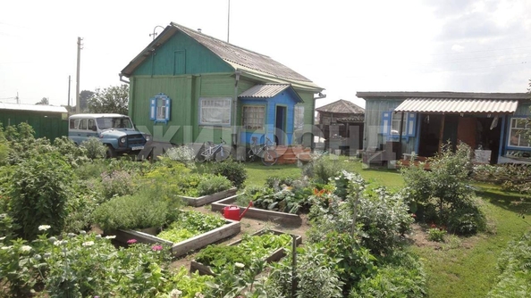 
  Продается земельный участок, 25 соток, село Чингис
. Фото 1.