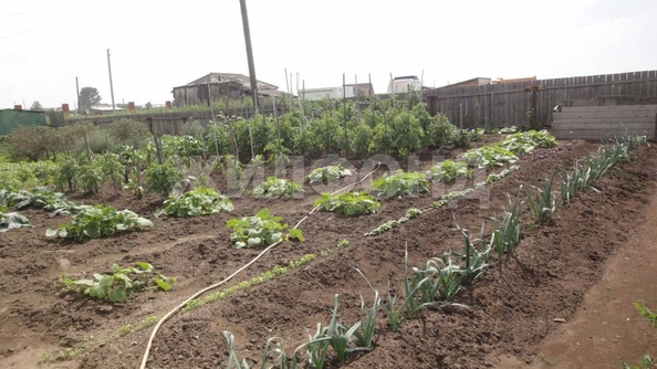 
  Продается земельный участок, 25 соток, село Чингис
. Фото 11.