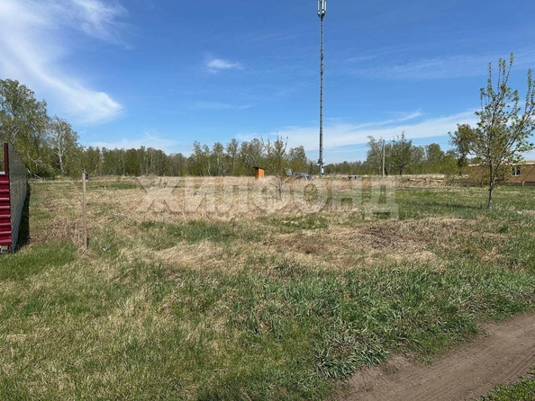 
  Продается земельный участок, 15.6 соток, село Береговое
. Фото 1.