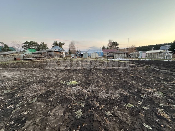 
  Продается земельный участок, 14.6 соток, село Береговое
. Фото 3.