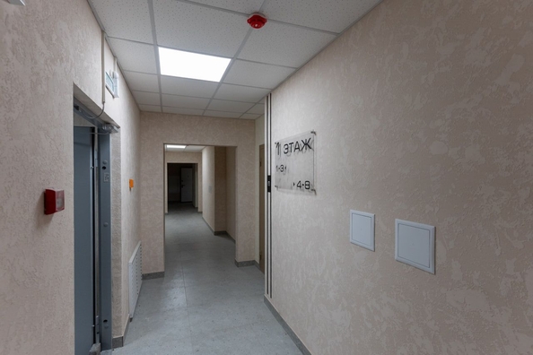 
  Продается студия, 24.9 м², ЖК Свои люди, дом 2
. Фото 15.