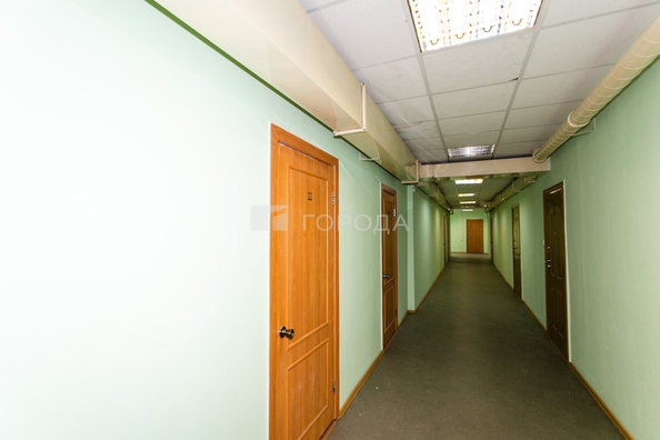 
  Сдается офис 54.9 м². Фото 7.
