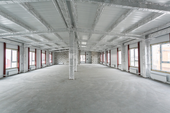 
  Сдается универсальное помещение 1000 м². Фото 19.
