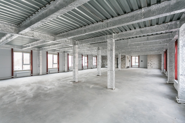 
  Сдается офис 300 м². Фото 13.
