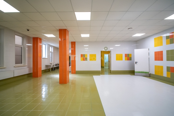 
  Сдается универсальное помещение 185.1 м². Фото 4.
