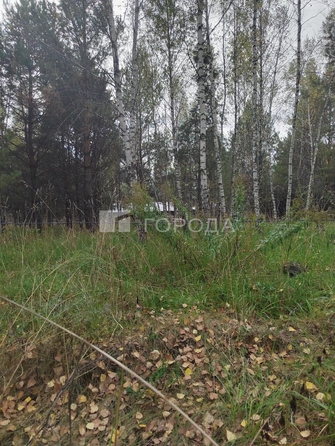 
  Продается земельный участок 13.45 соток. Фото 2.
