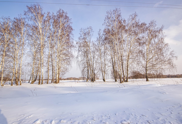 
  Продается земельный участок 10.28 соток. Фото 4.