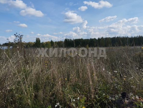 
  Продается дом 100 м². Фото 8.