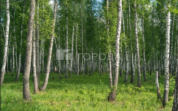 
  Продается земельный участок 8.5 соток. Фото 1.