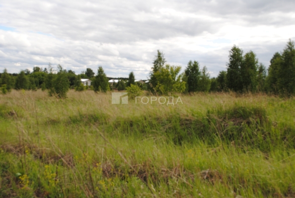 
  Продается земельный участок 1330.8 соток. Фото 6.