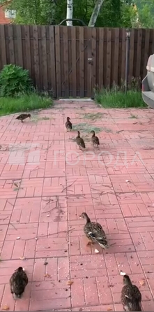 
  Продается коттедж 92 м². Фото 28.