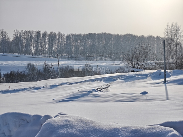 
  Продается земельный участок 5 соток. Фото 4.