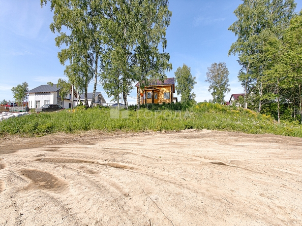 
  Продается земельный участок 6 соток. Фото 10.