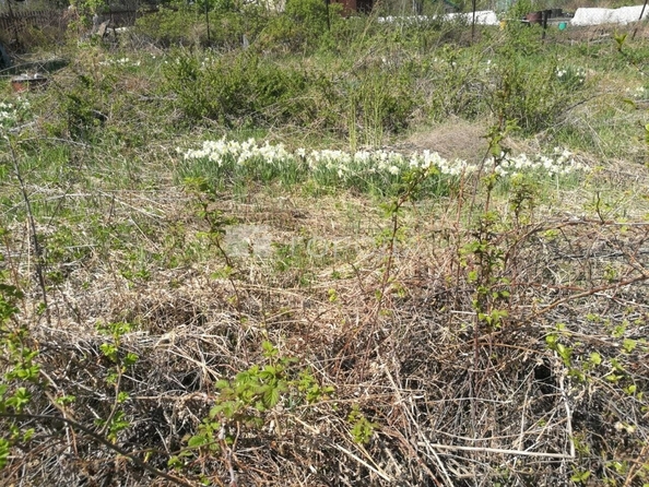 
  Продается коттедж 14 м². Фото 2.