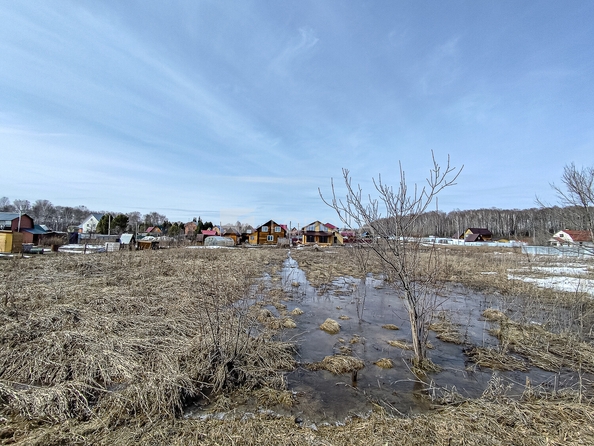 
  Продается земельный участок 10 соток. Фото 1.