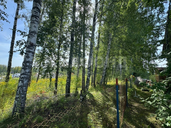
  Продается дача 48 м². Фото 11.