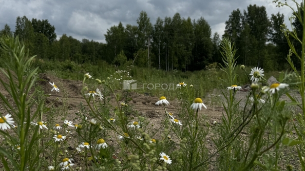 
  Продается земельный участок 4.5 сотки. Фото 8.