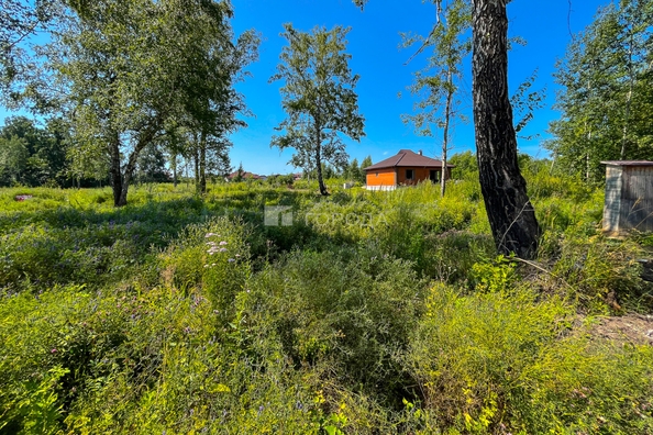 
  Продается земельный участок 5.8 соток, в КП Благодатный. Фото 7.