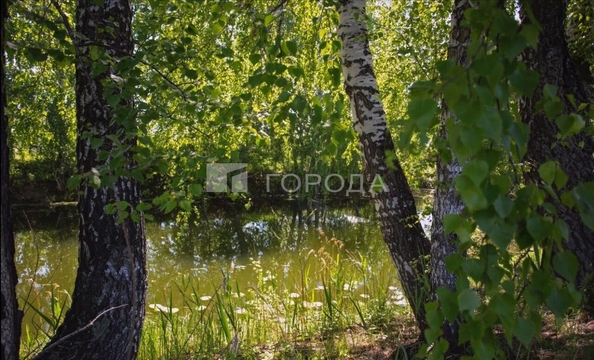
  Продается земельный участок 11.94 соток. Фото 6.