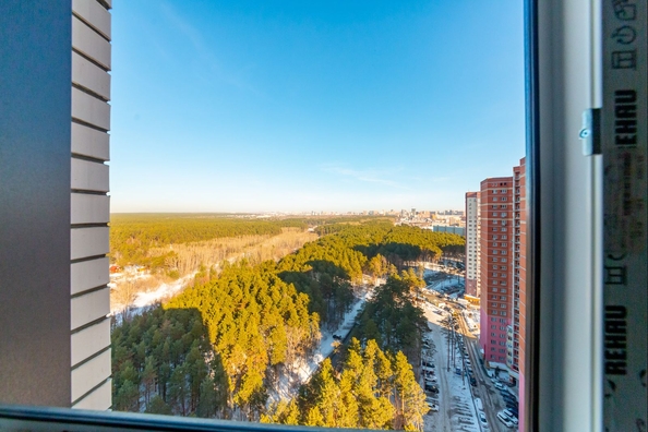 
  Продается 3-комн. квартира 74.8 м², в ЖК Бирюзовая жемчужина-4. Фото 15.
